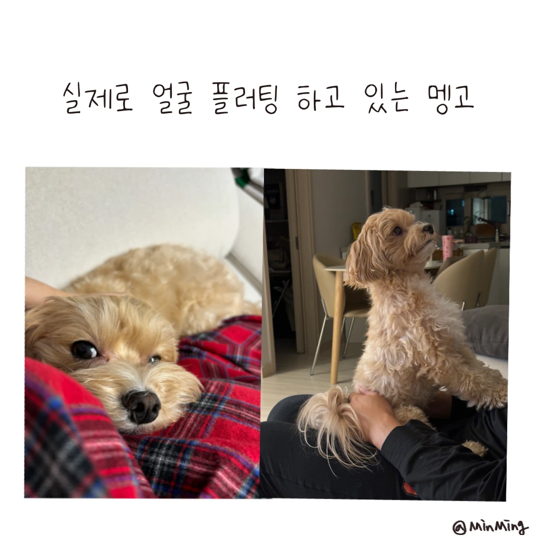 제목_없는_아트워크-5 2.PNG