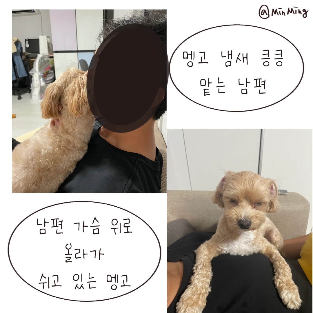 제목_없는_아트워크 11.PNG