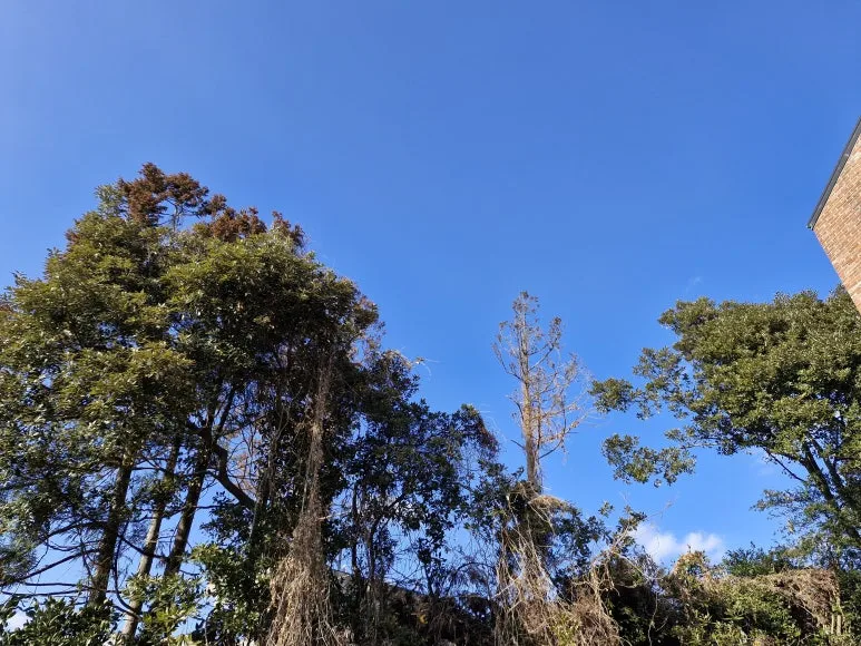 20250219_161029.jpg?type=w773