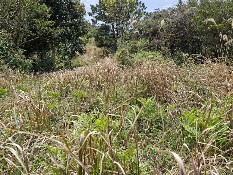 20250416_135630.jpg?type=w773