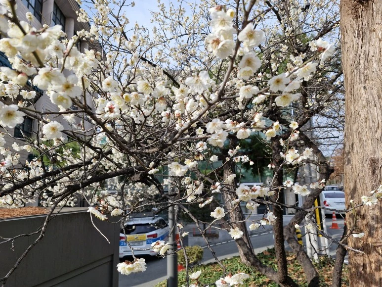 20240227_155510.jpg?type=w773