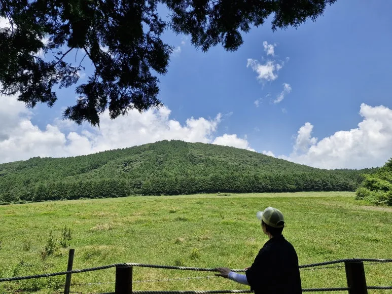 20250714_123130.jpg?type=w773