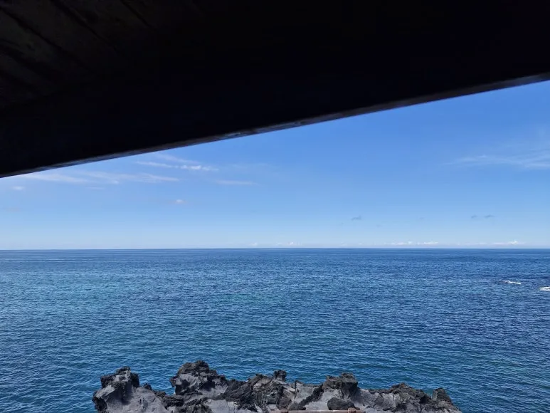 20250815_132738.jpg?type=w773