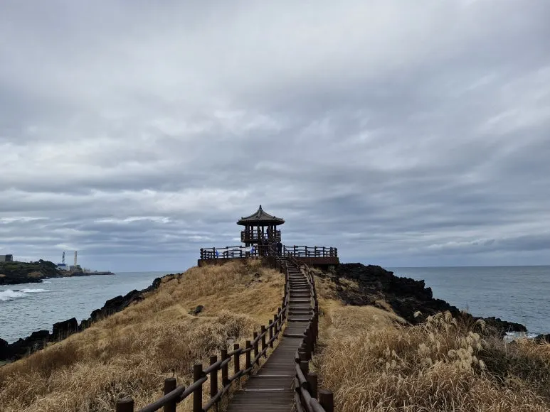 20251213_095253.jpg?type=w773