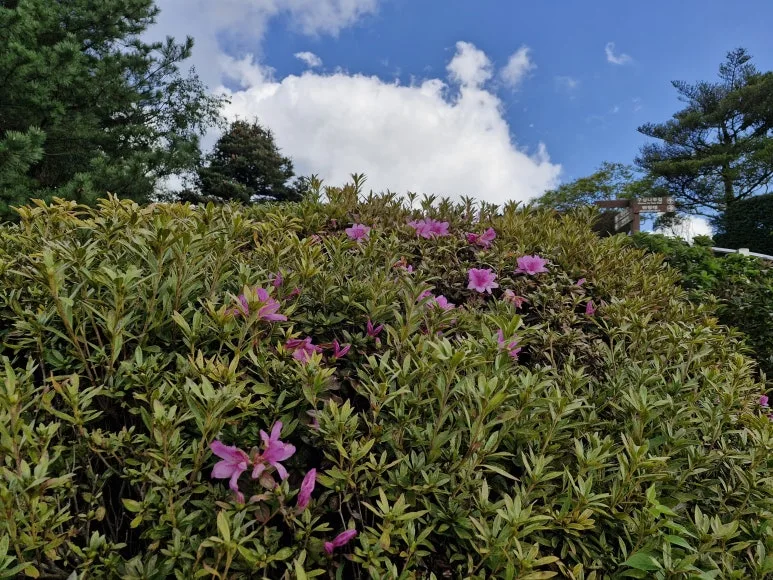 20251024_111145.jpg?type=w773