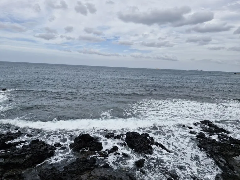 20241031_132345.jpg?type=w773