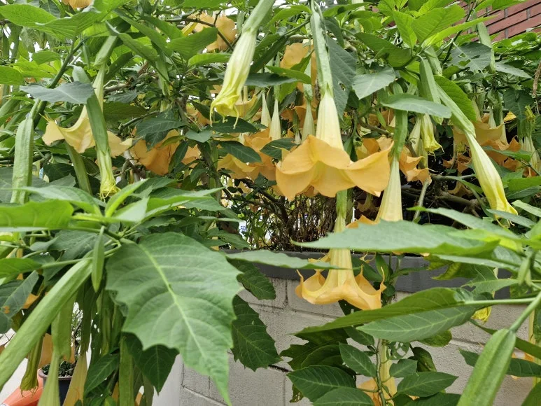 20241019_083858.jpg?type=w773