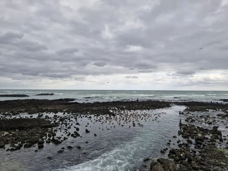 20251213_115859.jpg?type=w773