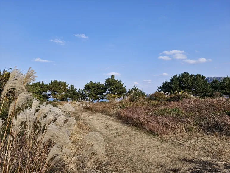 20251215_152234.jpg?type=w773