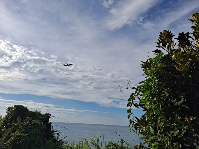 20230831_170044.jpg?type=w773