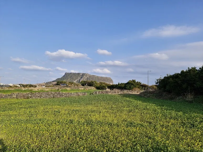 20251215_154401.jpg?type=w773