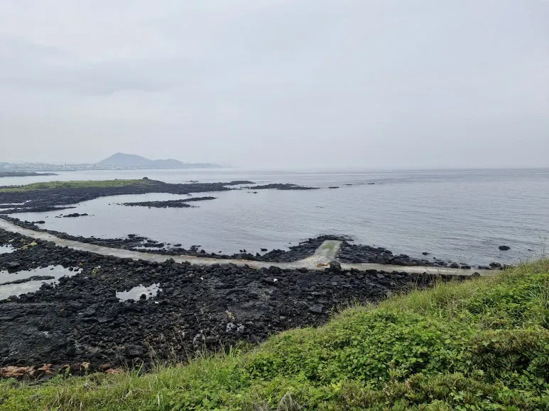 20250608_112239.jpg?type=w773