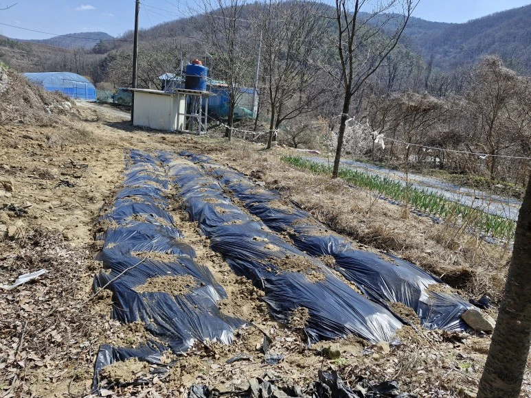 20240321_134606.jpg?type=w773