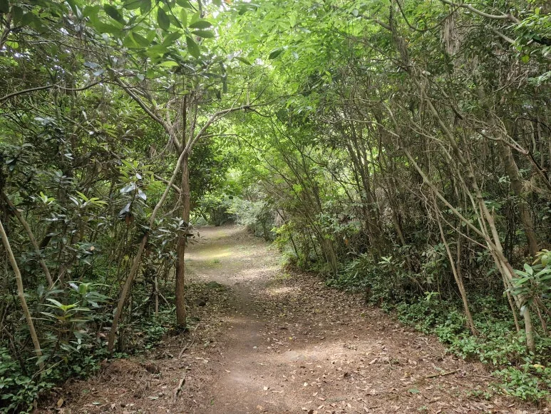 20240614_105848.jpg?type=w773