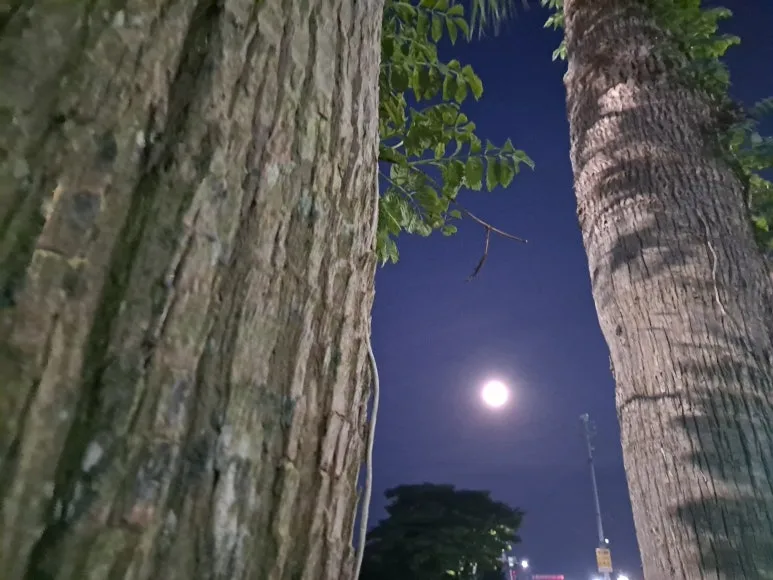 20230901_053232.jpg?type=w773