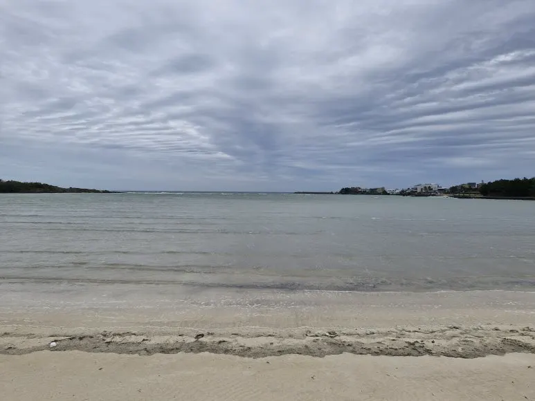 20250314_104751.jpg?type=w773