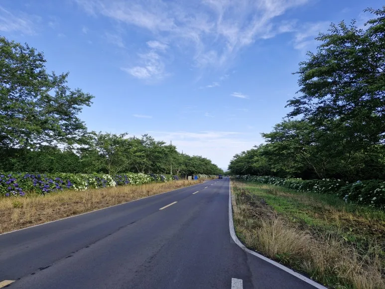 20250616_1726351.jpg?type=w773