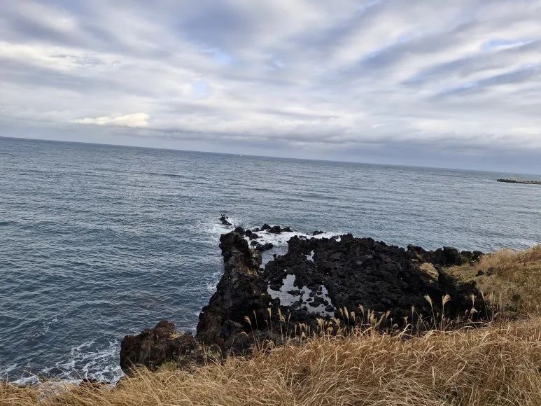 20251213_090459.jpg?type=w773