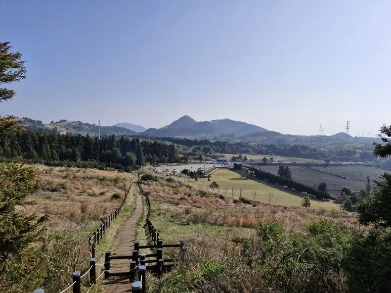 20250411_084154.jpg?type=w773