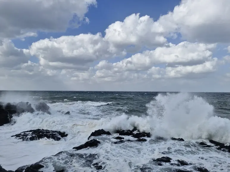 20251125_124359.jpg?type=w773