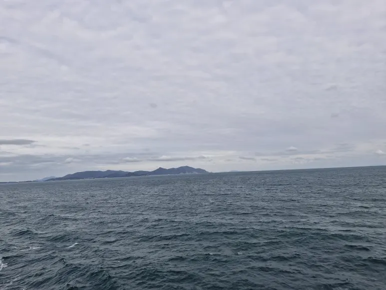 20241119_154349.jpg?type=w773