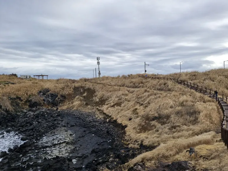 20251213_095413.jpg?type=w773