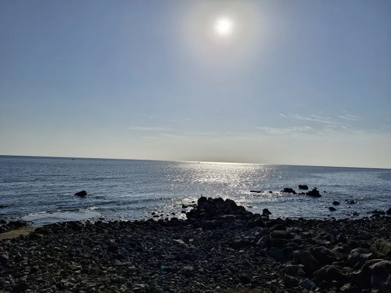 20251210_102453.jpg?type=w773