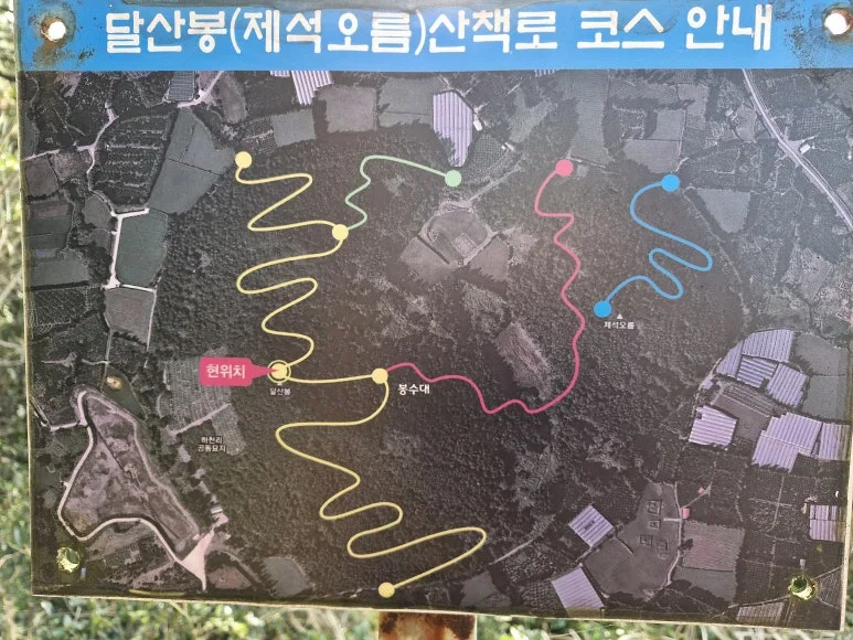 20250313_163515.jpg?type=w773