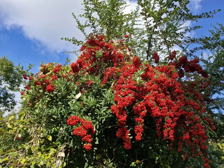 20251122_102243.jpg?type=w773