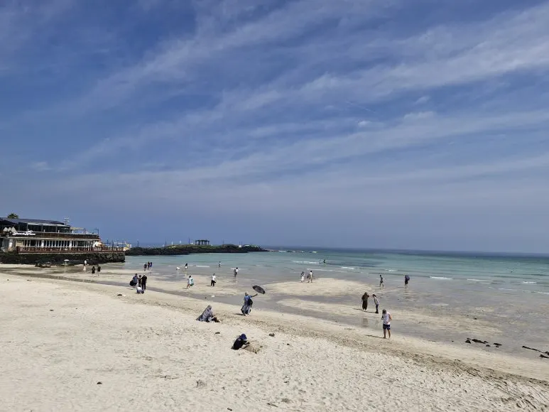 20240614_095158.jpg?type=w773