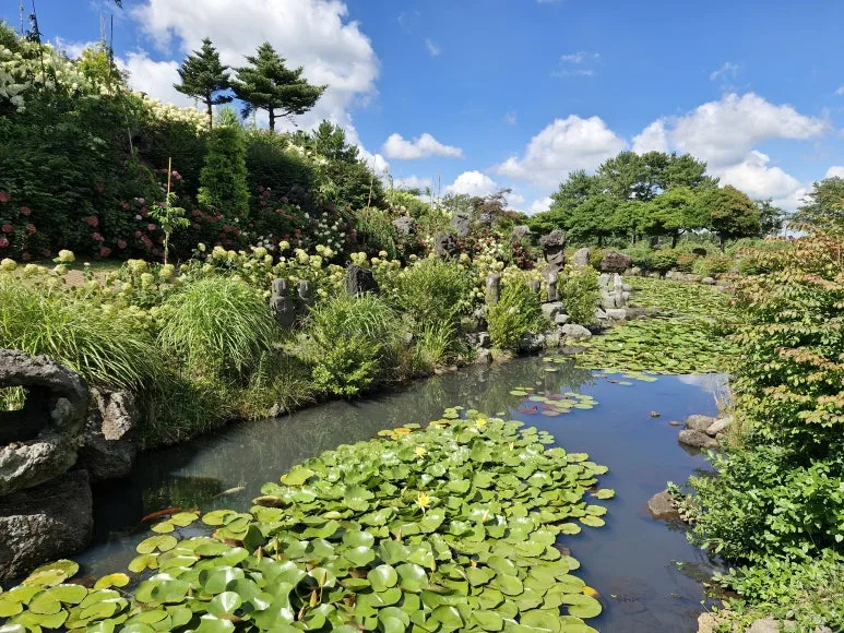 20250731_153829.jpg?type=w773