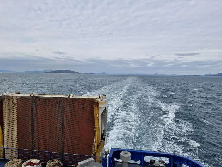 20241119_154411.jpg?type=w773