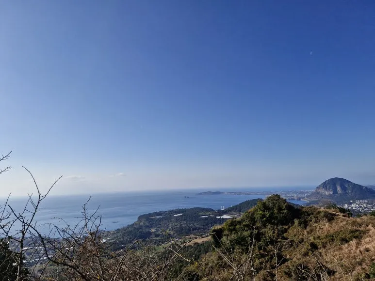 20251212_104422.jpg?type=w773