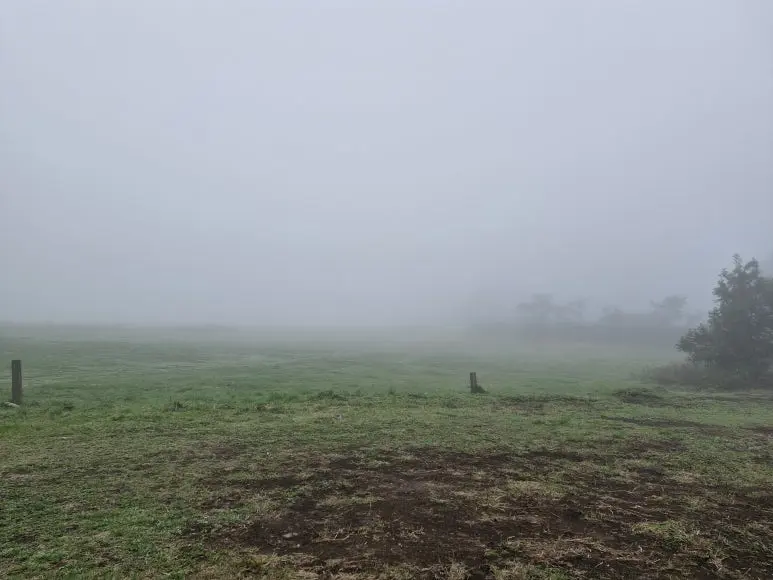 20250421_140656.jpg?type=w773