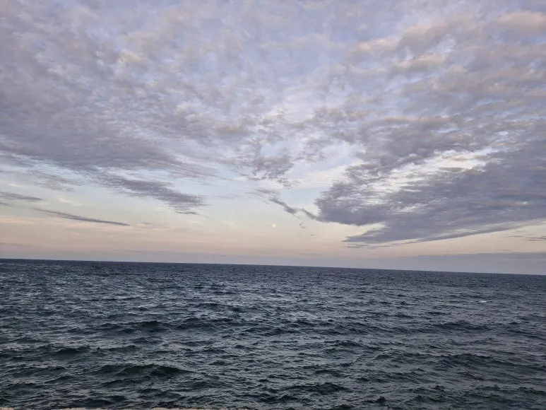 20250313_181804.jpg?type=w773