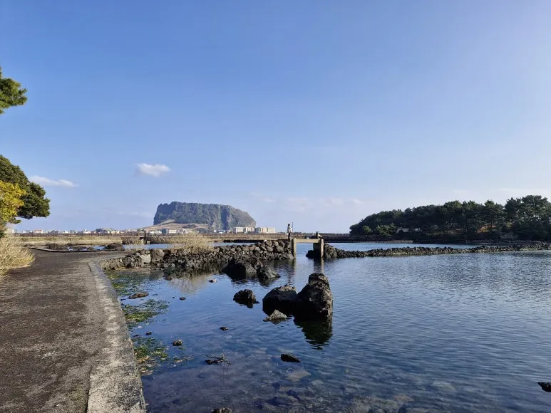 20251215_150217.jpg?type=w773