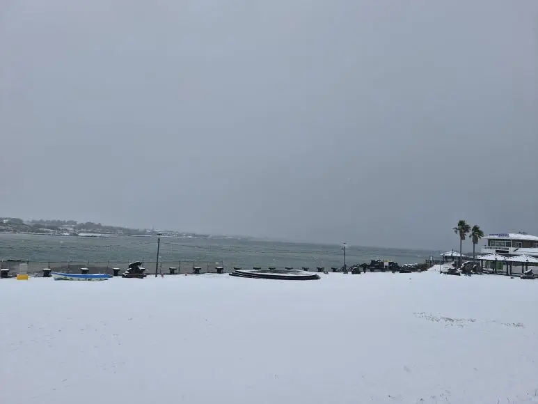 20260102_104438.jpg?type=w773