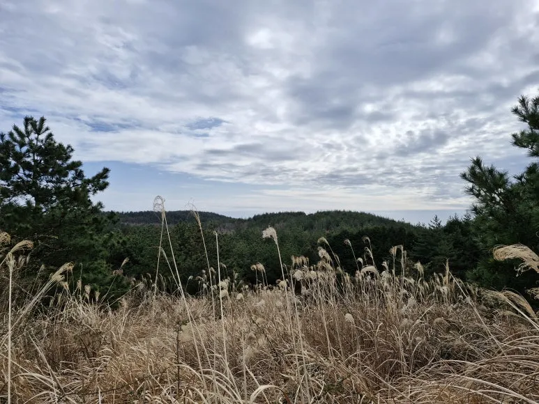 20250313_145119.jpg?type=w773