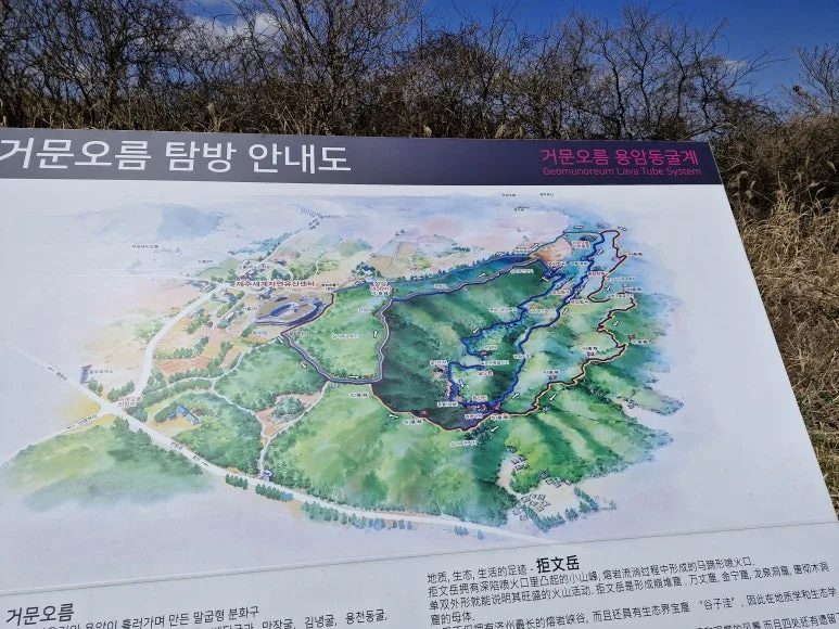 20250317_130832.jpg?type=w773