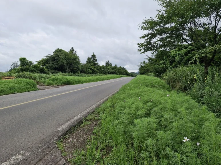 20250810_160752.jpg?type=w773