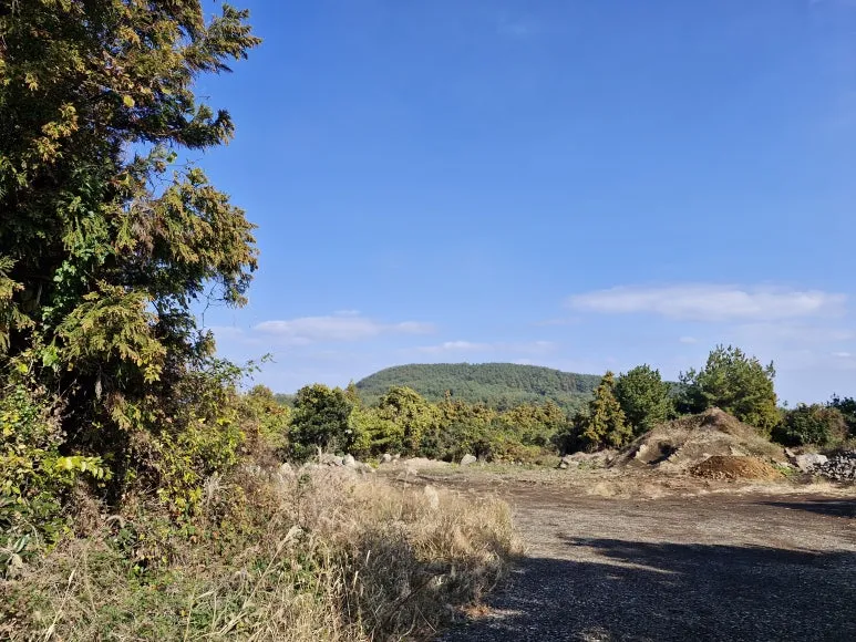 20251215_125353.jpg?type=w773