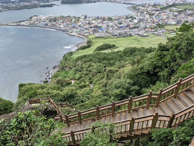 20240924_150831.jpg?type=w773