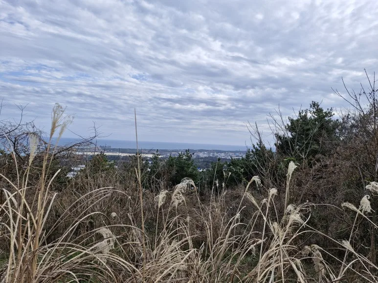 20250313_161959.jpg?type=w773