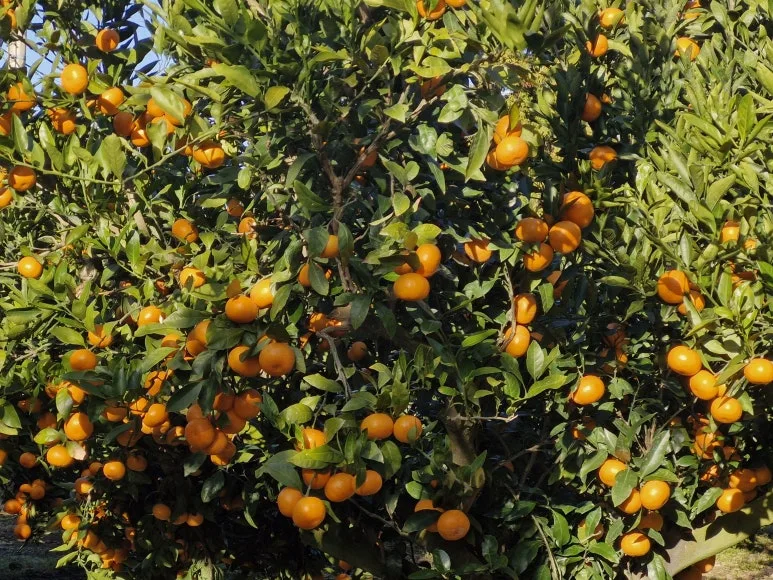 20251216_090721.jpg?type=w773