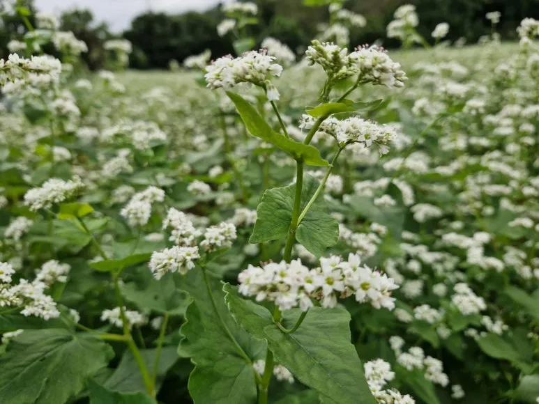 20251009_124300.jpg?type=w773