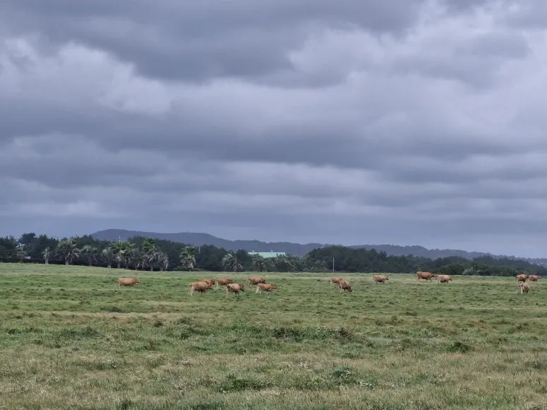 20250923_132427.jpg?type=w773