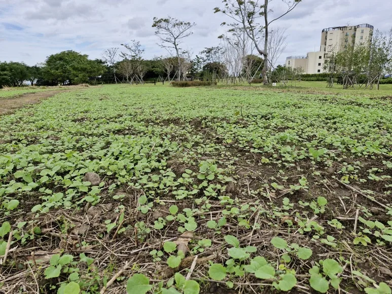 20241031_134344.jpg?type=w773