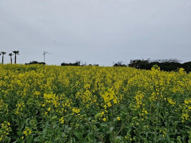 20240229_132222.jpg?type=w773