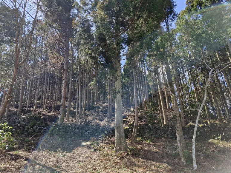 20250317_114517.jpg?type=w773