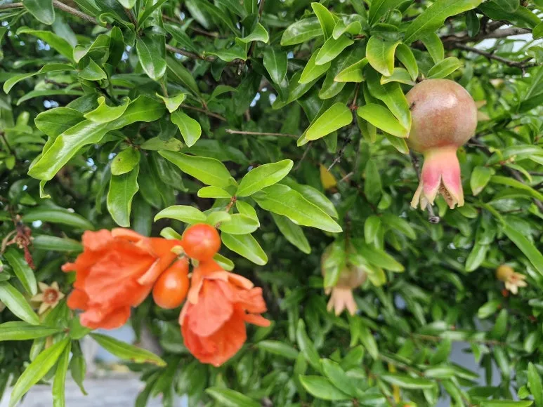 20250629_062422.jpg?type=w773